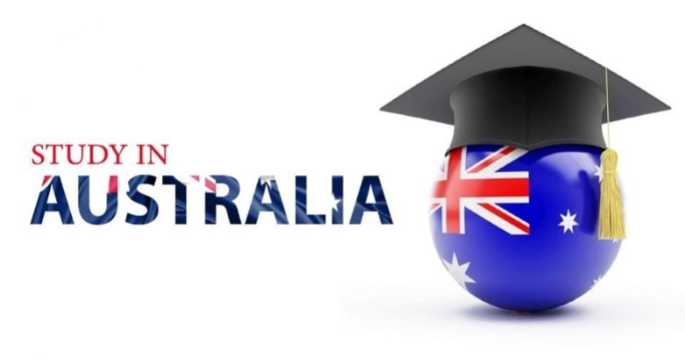 Education Consultant in Australia
ImmiEdu Consultants